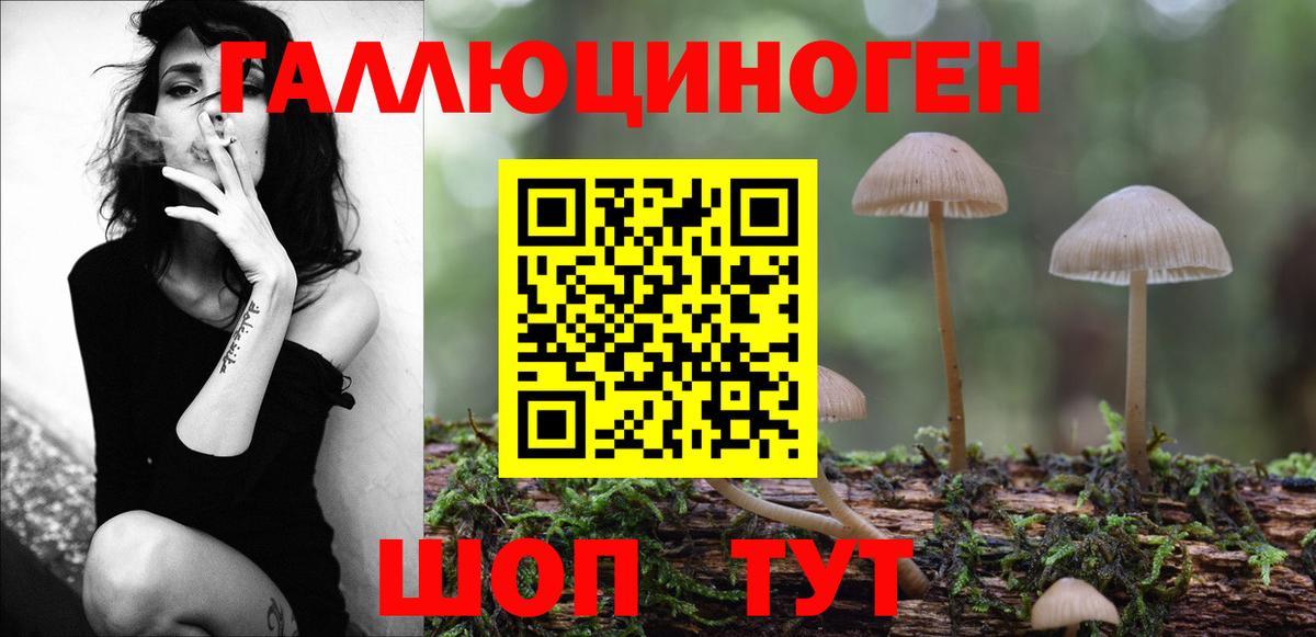 Таганрог  Псилоцибиновые грибы прущие грибы  Галлюциногенные грибы мицелий  Вход с VPN 